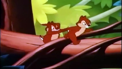 New Donald Duck Cartoon Series Full Episodes Compilation 2H NON-STOP!