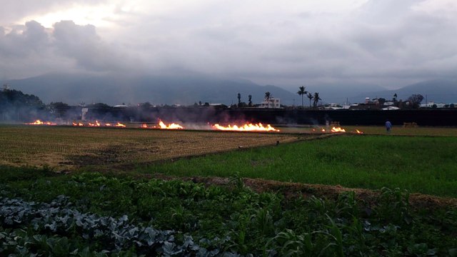 20141121-11台東臨海火耕