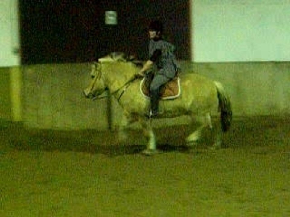Trot et galop