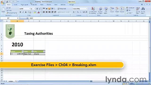 Starting With VBA in Excel lecture 25 break