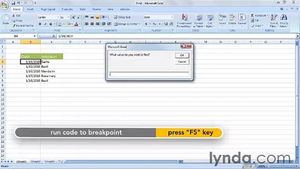 Starting With VBA in Excel lecture 30 find