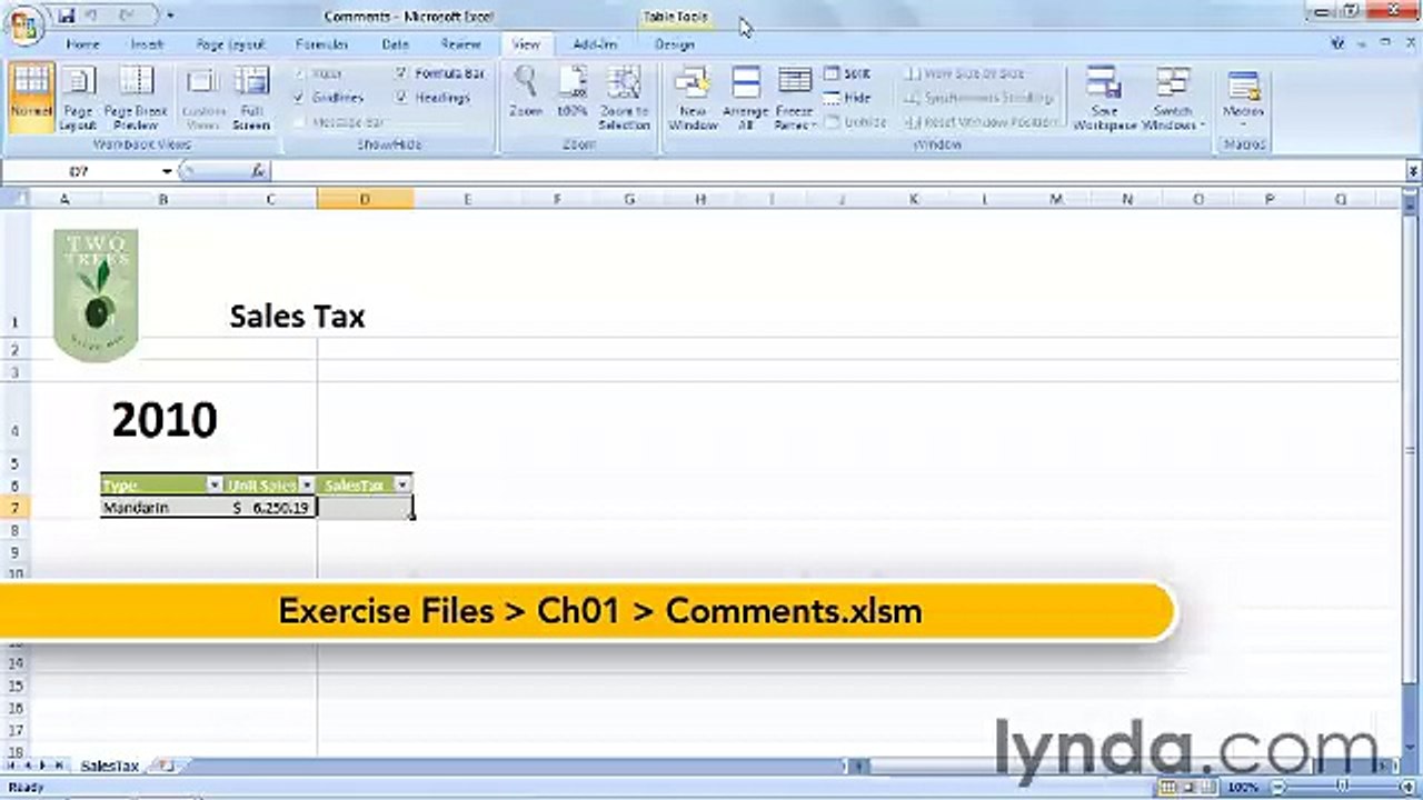 Starting With VBA in Excel lecture 8 comments