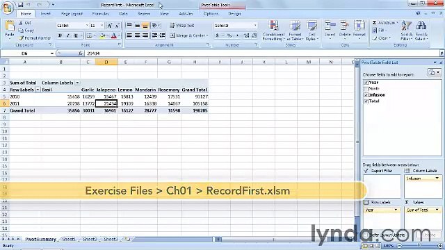 Starting With VBA in Excel lecture 11 recordfirst