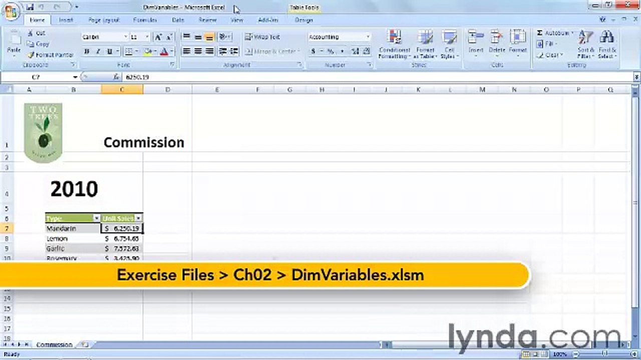 Starting With VBA in Excel lecture 13 declare