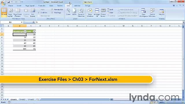 Starting With VBA in Excel lecture 19 fornext