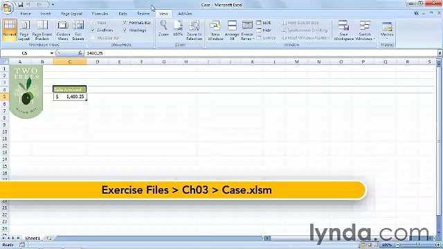 Starting With VBA in Excel lecture 23 case
