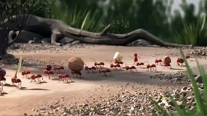 Birlikten Kuvvet Doğar animasyon film