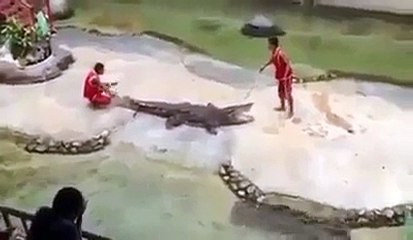 Dunya News-Man Fighting With Crocodile