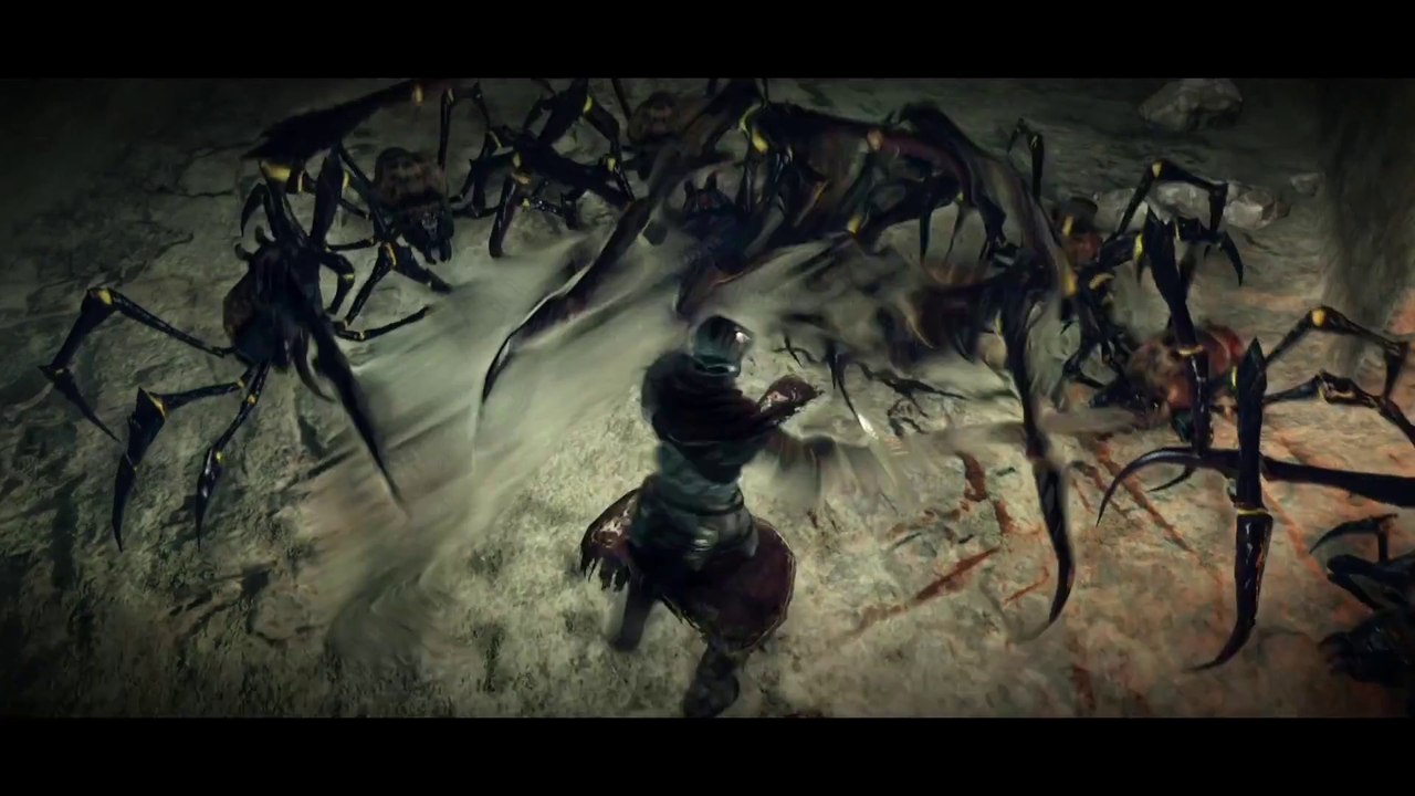 Dark Souls II : Scholar of the First Sin - Beyond the Scope of Light