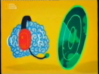 Cerebro: Atencion y percepcion espacial