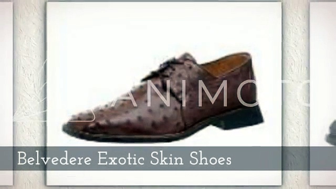 Belvedere Exotic Skin Shoes