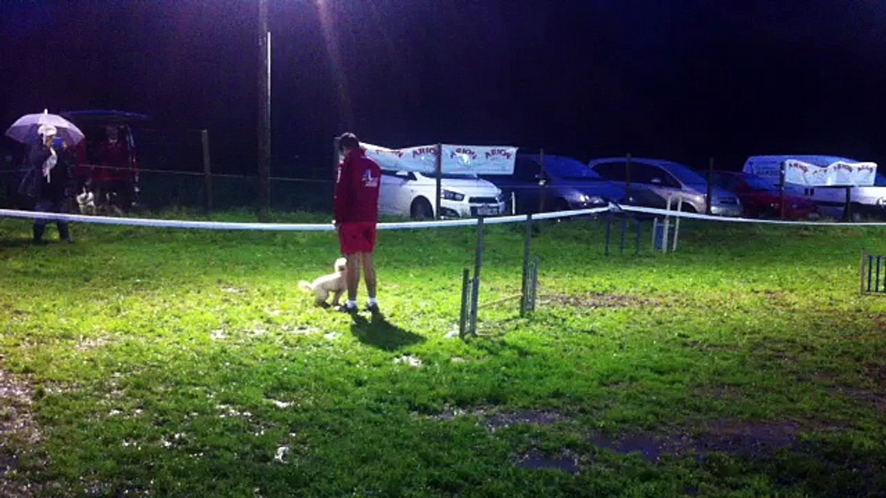 Jose & Chispa - 1ª Manga Mini Grado 1 [22-11-2014 Lobos de Narahío]