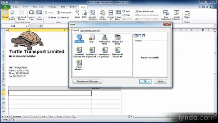 Excel essential 2010 lecture 10 worksheet Management