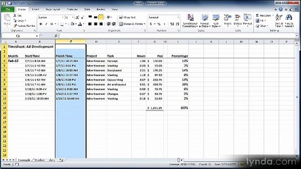 Excel essential 2010 lecture 13 format Numbers