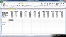 Excel essential 2010 lecture 16 referenceWorksheet