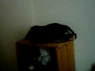 Fadel's Profile Overview