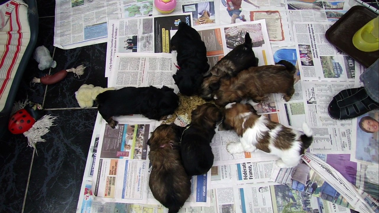 1er BOUILLIE DES BB DE FALBALA