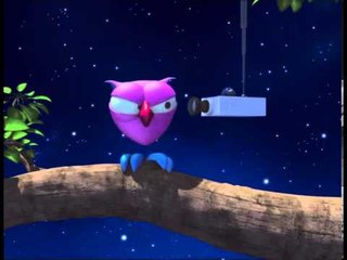 La Chouette - Surveillance