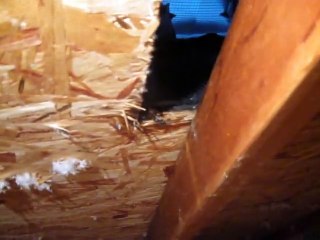 Roof Vents Leaking Exposed by The Best Home Inspector Boise