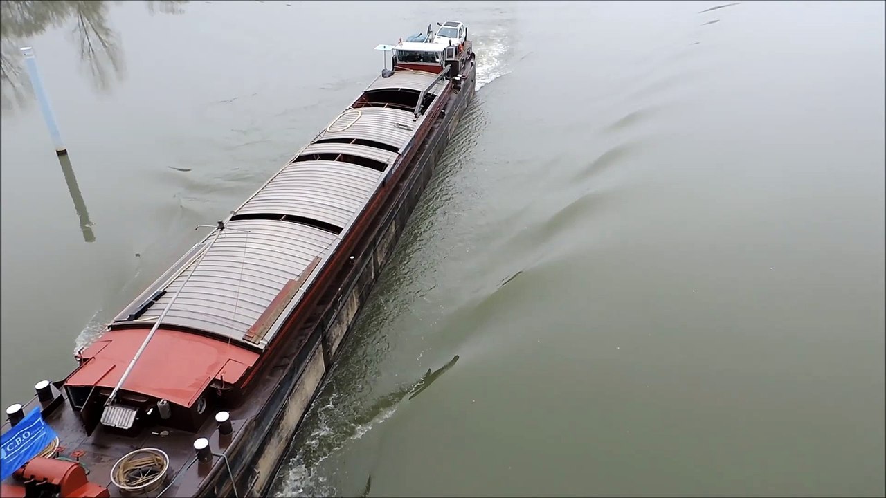 CINDY et DANUBE Saint Romain des Îles 25 novembre 2014