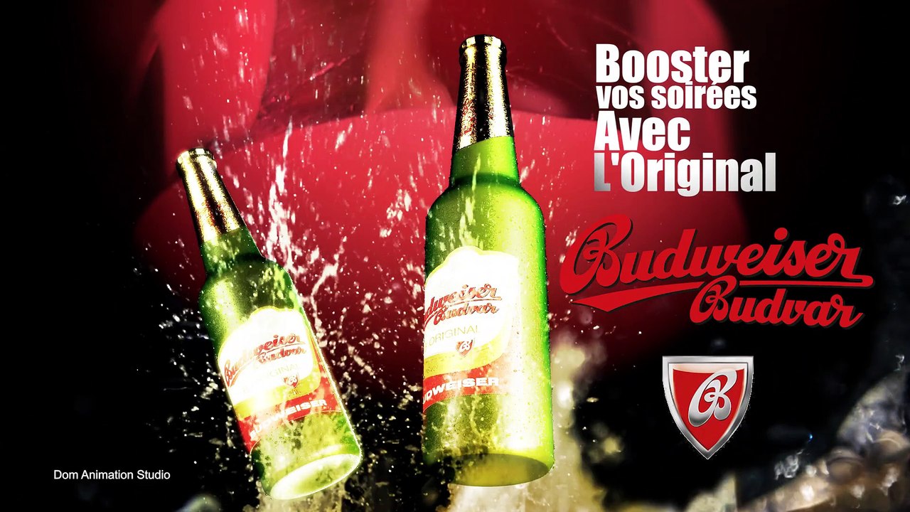 Pub bière master budweiser