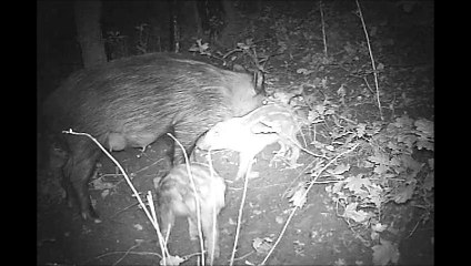 l'heure de la tétée