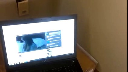 La réaction de ce chien lorsqu'il entend sa musique préférée est géniale