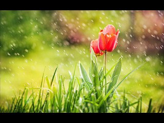 ''kal badal kale gahre tahe'' Barsat sad ghazal voice by RJ IMRAN ADEEB