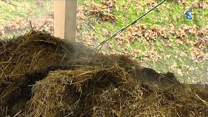 Méthanisation: des cornichons pour chauffer les éléphants du zoo de Beauval