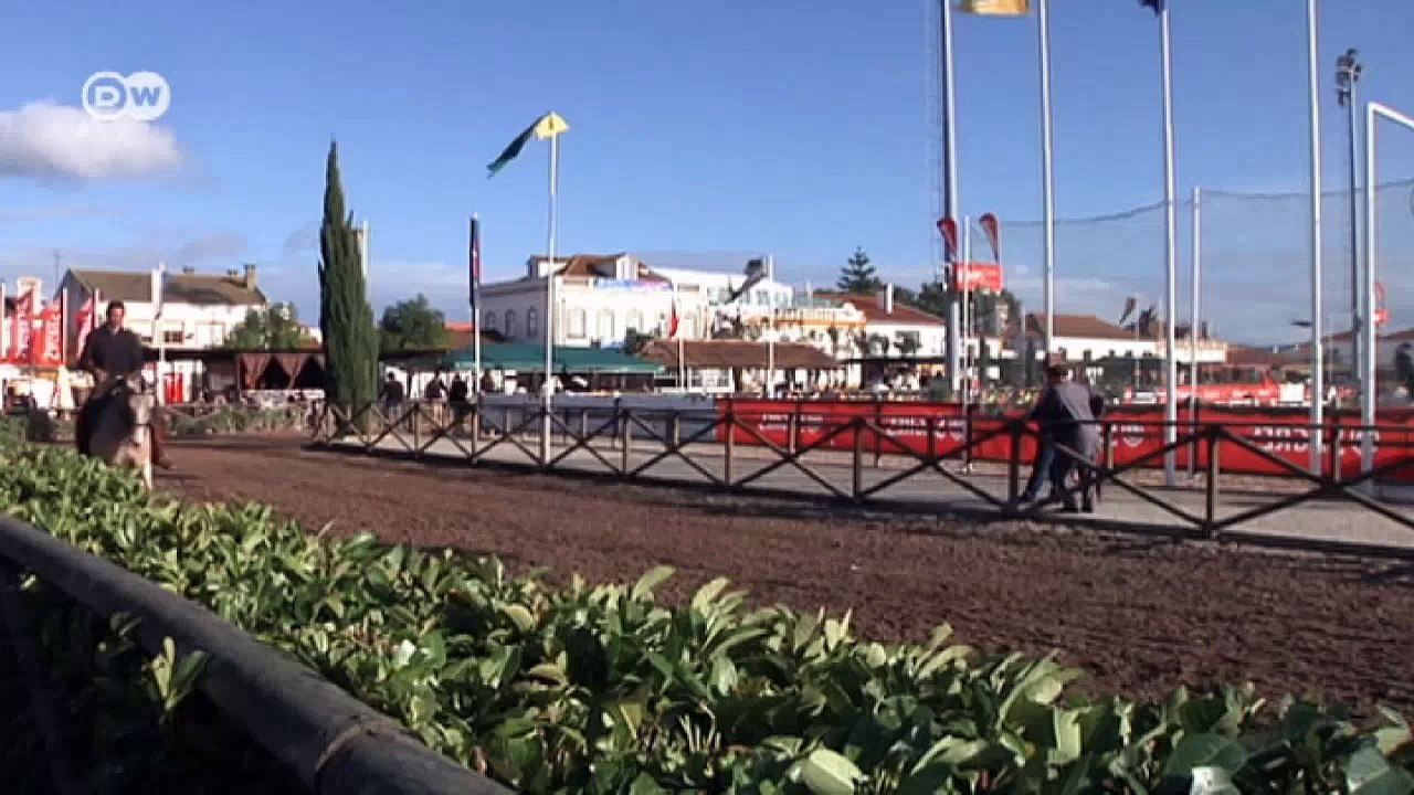 Portugal: Perfekte Pferde | Fokus Europa