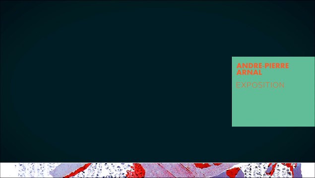 Exposition André-Pierre Arnal