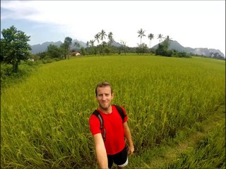 Champ de riz - Vang Vieng - Laos