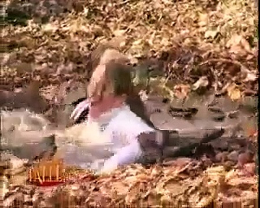 funny  Prank in jungle