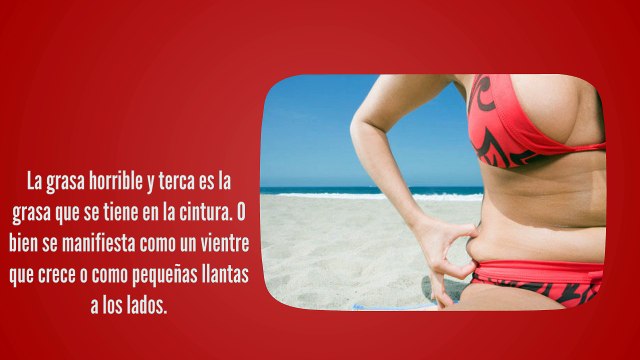 Cómo Quemar La Grasa Del Estomago Para Las Mujeres