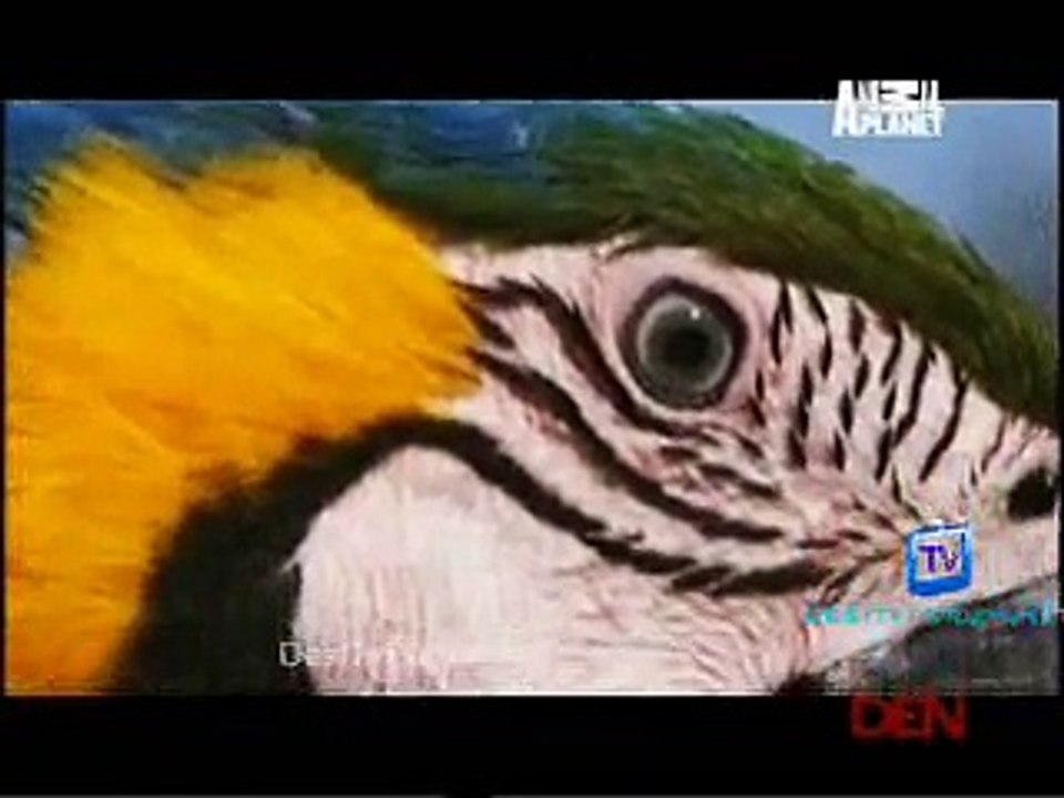 Mutant Planet 25th November 2014 Video Watch Online pt1