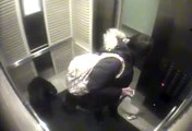 Une fille sauve un chien dans un ascenseur !