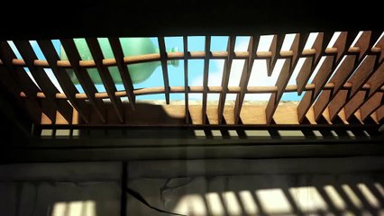 Larva Funny - Ep 28 Hair-Growth Solution