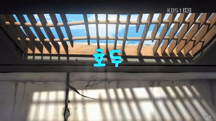 Larva Funny - Ep 31  Walnuts