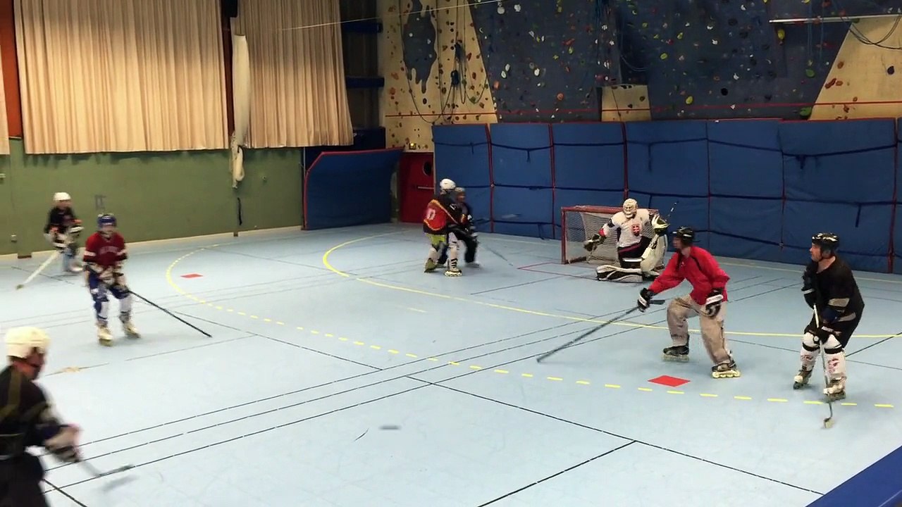 Aime Roller-Hockey
