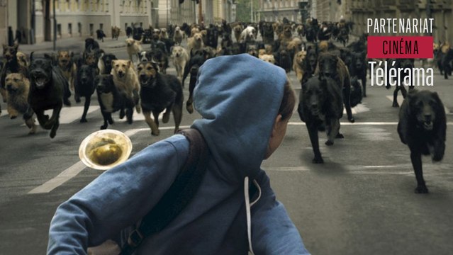 White God , la bande-annonce