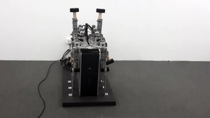 "User Generated Server Destruction"