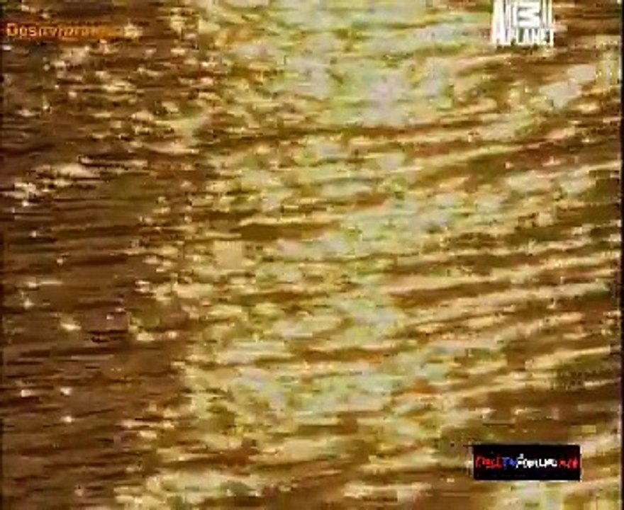 Fit For The Wild 25th November 2014 Video Watch Online pt1