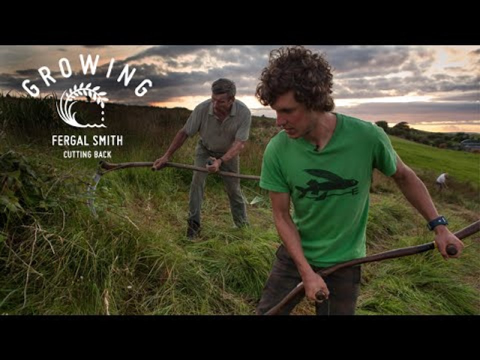 Fergal Smith - Cutting Back | Growing - Episode 14