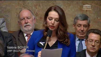 Valérie Boyer - Question au Gouvernement sur les violences faites aux femmes (25-11-14)