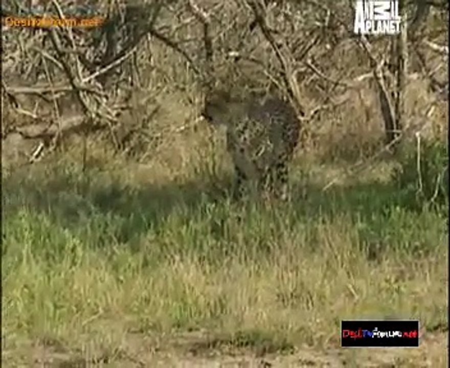 Fit For The Wild 25th November 2014 Video Watch Online pt2