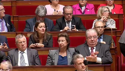 Valérie Boyer - Question au Gouvernement sur les violences faites aux femmes (25-11-14)