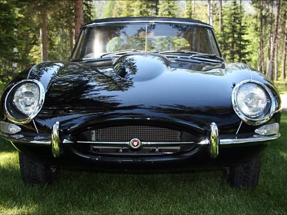 Black Jaguar From Jaguaretyperestoration.com