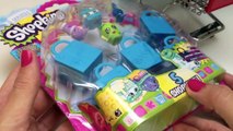 Shopkins Toys Disney Frozen Elsa and Kristoff Shopping Surprise Basket Shopkins Collection