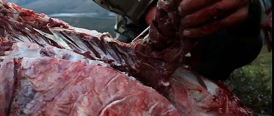 Somos todos caçadores!