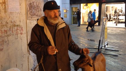 Tintin et ses biquettes Bibi et Mimi